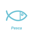 pesca